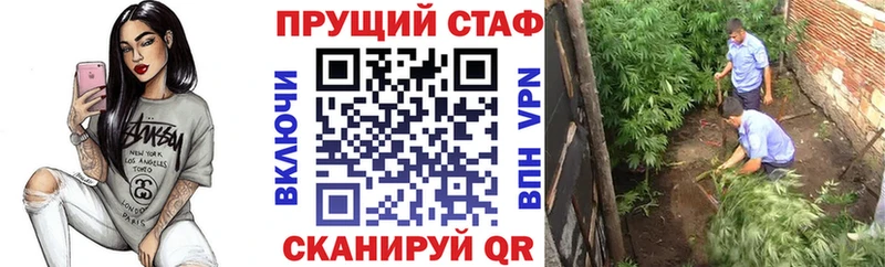 Магазины продажи наркотиков Жуков СОЛЬ  Конопля  КОКАИН 